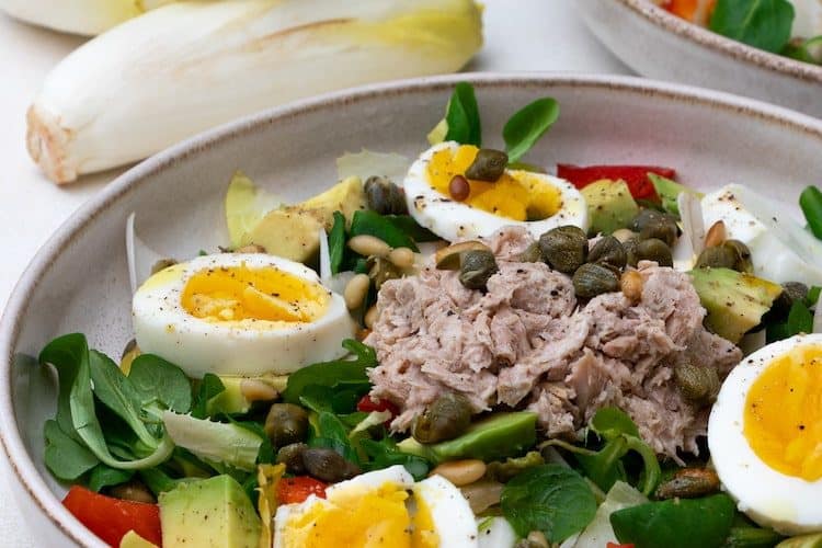 Witlofsalade met tonijn